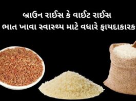 બ્રાઉન રાઈસ ફાયદા - brown rice health benefits in Gujarati