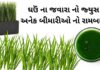 ghau na javara na juice na fayda in Gujarati - જવારા નો રસ પીવાના ફાયદા - ઘઉં ના જવારા નો જ્યુસ ના ફાયદા