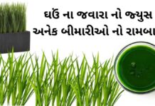 ghau na javara na juice na fayda in Gujarati - જવારા નો રસ પીવાના ફાયદા - ઘઉં ના જવારા નો જ્યુસ ના ફાયદા