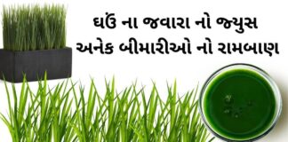 ghau na javara na juice na fayda in Gujarati - જવારા નો રસ પીવાના ફાયદા - ઘઉં ના જવારા નો જ્યુસ ના ફાયદા