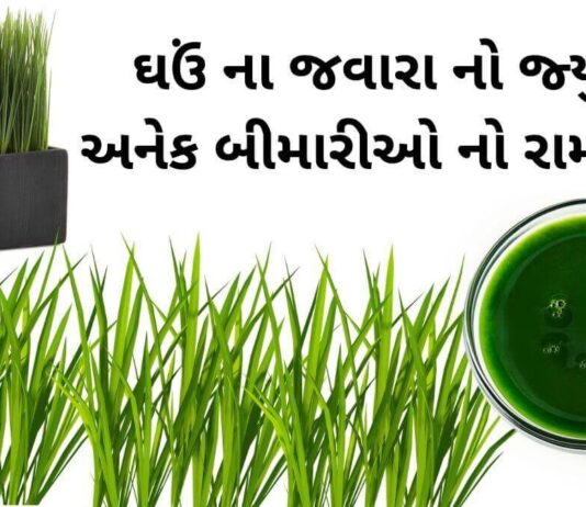 ghau na javara na juice na fayda in Gujarati - જવારા નો રસ પીવાના ફાયદા - ઘઉં ના જવારા નો જ્યુસ ના ફાયદા