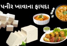 health benefits of paneer in Gujarati - પનીર ખાવાના ફાયદા - પનીર ના ફાયદા - paneer na fayda in Gujarati - paneer na faida