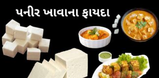 health benefits of paneer in Gujarati - પનીર ખાવાના ફાયદા - પનીર ના ફાયદા - paneer na fayda in Gujarati - paneer na faida