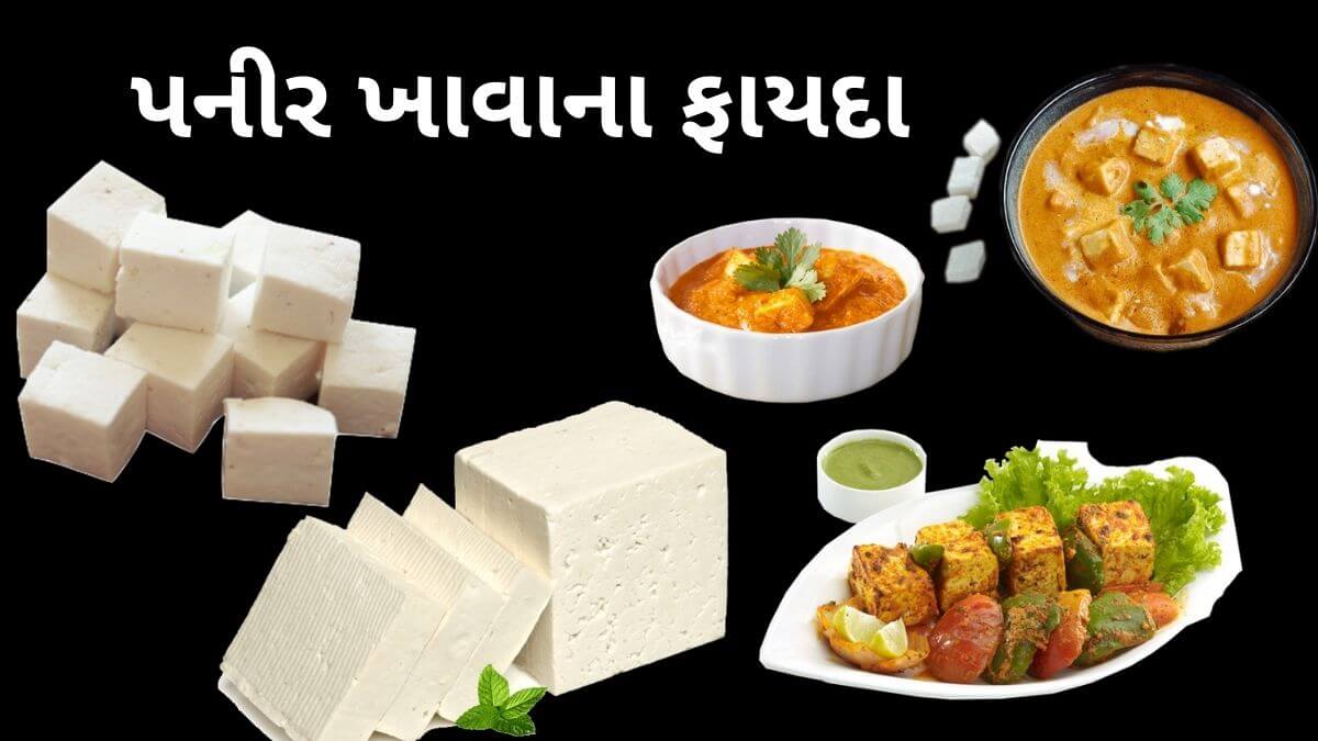 health benefits of paneer in Gujarati - પનીર ખાવાના ફાયદા - પનીર ના ફાયદા - paneer na fayda in Gujarati - paneer na faida