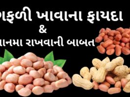 health benefits of peanuts in Gujarati - magfadi khavana na fayda - મગફળી ખાવાના ફાયદા - મગફળી ના ફાયદા
