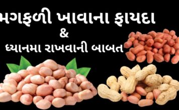 મગફળી ખાવાના ફાયદા અને ધ્યાનમા રાખવાની બાબત | Peanuts Benefits health benefits of peanuts in Gujarati - magfadi khavana na fayda - મગફળી ખાવાના ફાયદા - મગફળી ના ફાયદા