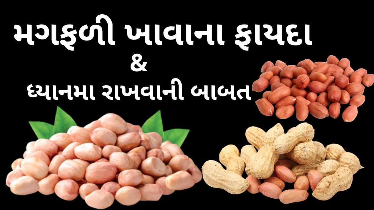 health benefits of peanuts in Gujarati - magfadi khavana na fayda - મગફળી ખાવાના ફાયદા - મગફળી ના ફાયદા