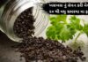 khaskhas health benefits in Gujarati - ખસખસ ખાવાના ફાયદા - khaskhas na fayda – ખસખસ ના ફાયદા