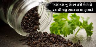 ખસખસ નું સેવન કરી મેળવો ૨૦ થી વધુ સમસ્યા મા ફાયદો – khaskhas na fayda khaskhas health benefits in Gujarati - ખસખસ ખાવાના ફાયદા - khaskhas na fayda – ખસખસ ના ફાયદા