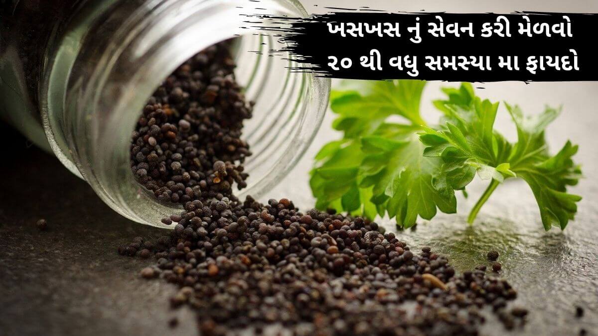 khaskhas health benefits in Gujarati - ખસખસ ખાવાના ફાયદા - khaskhas na fayda – ખસખસ ના ફાયદા