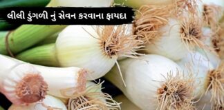 lili dungri na fayda - લીલી ડુંગળી ના ફાયદા - spring onion health benefits