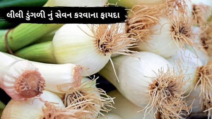 lili dungri na fayda - લીલી ડુંગળી ના ફાયદા - spring onion health benefits