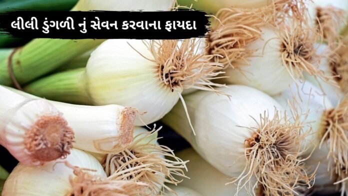 lili dungri na fayda lili dungri na fayda - લીલી ડુંગળી ના ફાયદા - spring onion health benefits
