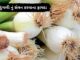 lili dungri na fayda - લીલી ડુંગળી ના ફાયદા - spring onion health benefits