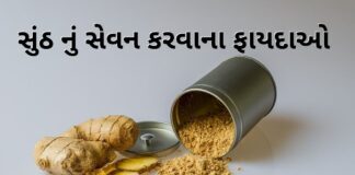 sunth na fayda in Gujarati - sunth na fayda in Gujarati language - સુંઠ ના ફાયદા - સુંઠ નું સેવન કરવાના ફાયદાઓ - સુંઠ નો ઉપયોગ – sounth no upyog