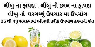 લીંબુ ના ફાયદા - લીંબુ નો ઉપયોગ - લીંબુ ના ઘરેલું ઉપચાર - Limbu na fayda in Gujarati - Limbu na fayda - lemon health benefits in Gujarati