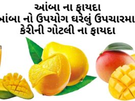 આંબા ના ફાયદા - આંબા નો ઉપયોગ ઘરેલું ઉપચારમા - કેરીની ગોટલી ના ફાયદા - Mango benefits in Gujarati