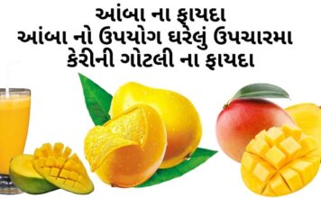 આંબા ના ફાયદા - આંબા નો ઉપયોગ ઘરેલું ઉપચારમા - કેરીની ગોટલી ના ફાયદા - Mango benefits in Gujarati