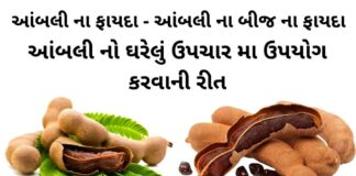 ખાટી આંબલી ના ફાયદા - aambli na fayda - health benefits of tamarind in Gujarati - આમલી ના ફાયદા - આંબલી ના ફાયદા