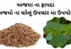 અજમો ના ફાયદા | અજમો ના ઘરેલું ઉપચાર મા ઉપયોગ | Ajma na fayda અજમો ના ફાયદા - ajma na fayda - ajma na gharelu upay nuskha - અજમાનો ઉપયોગ - અજમો ખાવાના ફાયદા