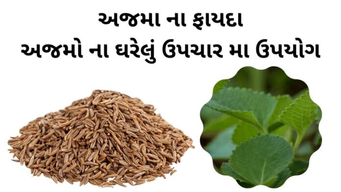 ajma na fayda ajma na gharelu upay nuskha અજમો ના ફાયદા - ajma na fayda - ajma na gharelu upay nuskha - અજમાનો ઉપયોગ - અજમો ખાવાના ફાયદા
