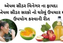 સફરજન નો સરકો ,એપલ સાઇડર વિનેગર ના ફાયદા - apple cider vinegar benefits in Gujarati - એપલ સીડર સરકો - એપલ સીડર વિનેગર ના ફાયદા