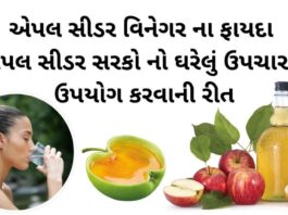 સફરજન નો સરકો ,એપલ સાઇડર વિનેગર ના ફાયદા - apple cider vinegar benefits in Gujarati - એપલ સીડર સરકો - એપલ સીડર વિનેગર ના ફાયદા