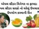 એપલ સીડર વિનેગર ના ફાયદા | એપલ સીડર સરકો ઘરેલું ઉપચાર મા ઉપયોગ કરવાની રીત સફરજન નો સરકો ,એપલ સાઇડર વિનેગર ના ફાયદા - apple cider vinegar benefits in Gujarati - એપલ સીડર સરકો - એપલ સીડર વિનેગર ના ફાયદા