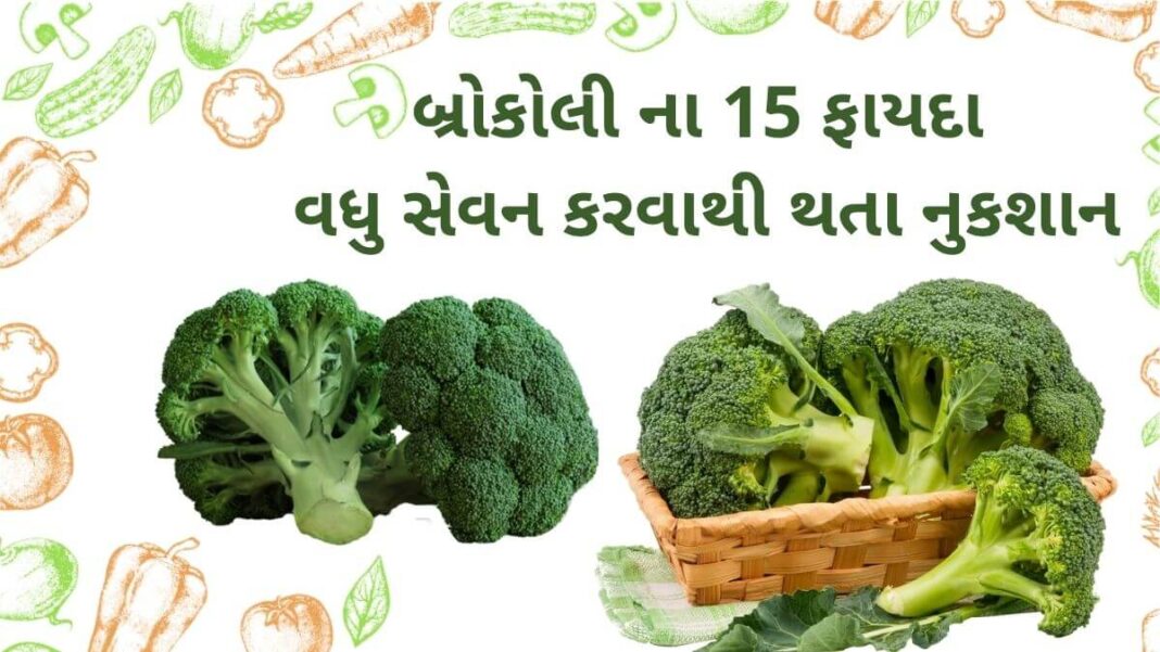બ્રોકલી ના 15 ફાયદા અને વધુ સેવન થી થતા નુકશાન Broccoli na fayda Gujarati