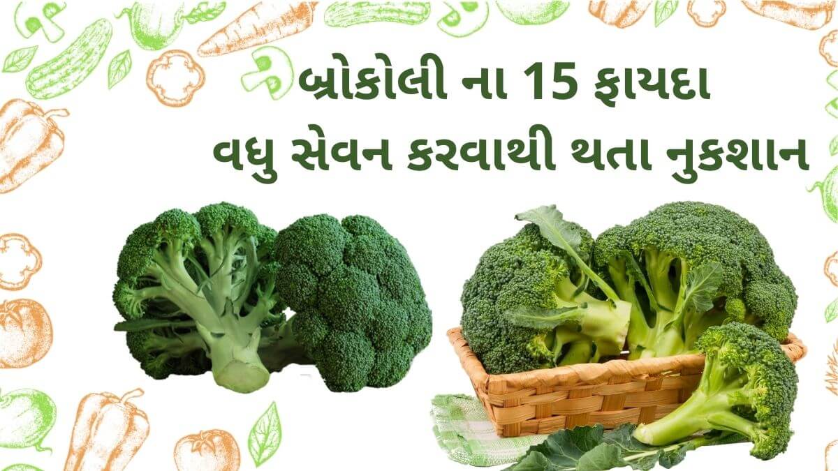 બ્રોકલી ના 15 ફાયદા અને વધુ સેવન થી થતા નુકશાન Broccoli na fayda Gujarati