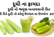 દુધી ના ફાયદા - દુધી નો જ્યુસ બનાવવાની રીત - દુધી નો ઘરેલું ઉપચાર મા ઉપયોગ - dudhi na fayda - dudhi health benefits in Gujarati