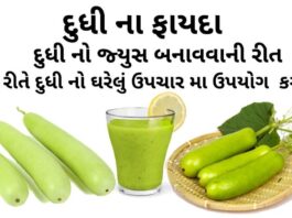 દુધી ના ફાયદા - દુધી નો જ્યુસ બનાવવાની રીત - દુધી નો ઘરેલું ઉપચાર મા ઉપયોગ - dudhi na fayda - dudhi health benefits in Gujarati