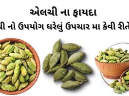 એલચી ના ફાયદા - એલચી નો ઉપયોગ - Elchi na fayda - Cardamom Benefits in Gujarati