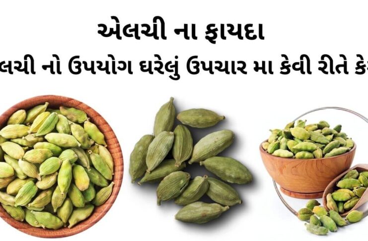 એલચી ના ફાયદા - એલચી નો ઉપયોગ - Elchi na fayda - Cardamom Benefits in Gujarati