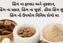 હિંગ નો ઉપયોગ - હિંગ ના ફાયદા - હિંગ ના પ્રકાર - હિંગ ના ચૂર્ણ - હીરા હિંગ શું છે - હિંગ ના નુકસાન - Hing na fayda - Hing na gharelu upay - Hing na gharelu nuskha - Hing na gharelu upchar