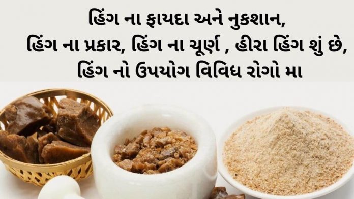 હિંગ નો ઉપયોગ - હિંગ ના ફાયદા - હિંગ ના પ્રકાર - હિંગ ના ચૂર્ણ - હીરા હિંગ શું છે - હિંગ ના નુકસાન - Hing na fayda - Hing na gharelu upay - Hing na gharelu nuskha - Hing na gharelu upchar