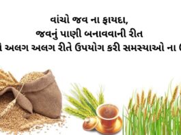 jav na fayda - barley health benefits in Gujarati - જવ ના ફાયદા - jav na fayda - જવ નું પી બનાવવાની રીત, - જવના પાણી ના ફાયદા