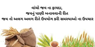jav na fayda - barley health benefits in Gujarati - જવ ના ફાયદા - jav na fayda - જવ નું પી બનાવવાની રીત, - જવના પાણી ના ફાયદા