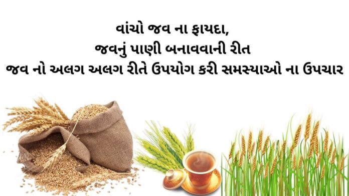 jav na fayda - barley health benefits in Gujarati - જવ ના ફાયદા - jav na fayda - જવ નું પી બનાવવાની રીત, - જવના પાણી ના ફાયદા