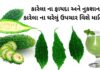 કારેલા ના ફાયદા - Karela na fayda - karela benefits in Gujarati