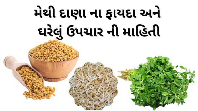 methi na dana na fayda - મેથી દાણા ના ફાયદા - fenugreek health benefits in Gujarati - મેથી દાણા ના ઘરેલું ઉપચાર ની માહિતી