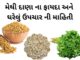 methi na dana na fayda - મેથી દાણા ના ફાયદા - fenugreek health benefits in Gujarati - મેથી દાણા ના ઘરેલું ઉપચાર ની માહિતી
