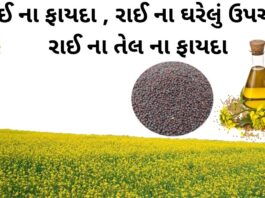 રાઈ ના ફાયદા - રાઈ ના ઘરેલું ઉપાય - રાઈનો ઉપયોગ - rai na fayda - mustard seed benefits in Gujarati - sarso tel na fayda - સરસવ તેલ ના ફાયદા