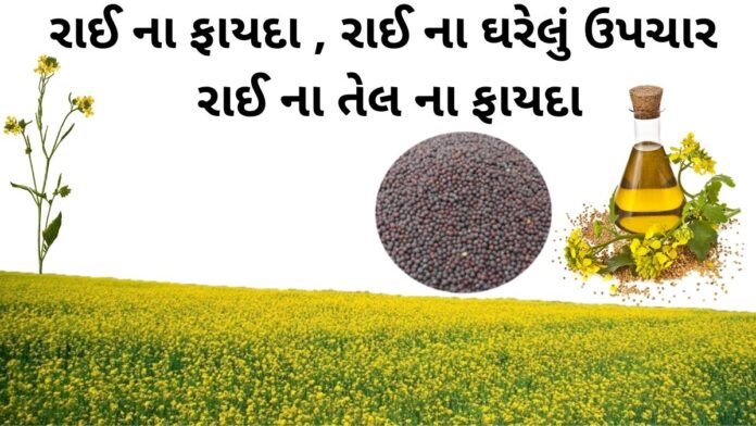 રાઈ ના ફાયદા - રાઈ ના ઘરેલું ઉપાય - રાઈનો ઉપયોગ - rai na fayda - mustard seed benefits in Gujarati - sarso tel na fayda - સરસવ તેલ ના ફાયદા