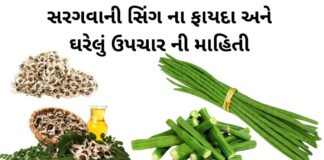 સરગવાની સિંગ ના ફાયદા – sargva ni sing na fayda - Drumstick benefits in Gujarati