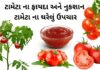 ટામેટા ના ફાયદા - ટામેટા વિશે માહિતી - ટામેટા ખાવાના ફાયદા - tomato benefits in Gujarati - tameta na fayda