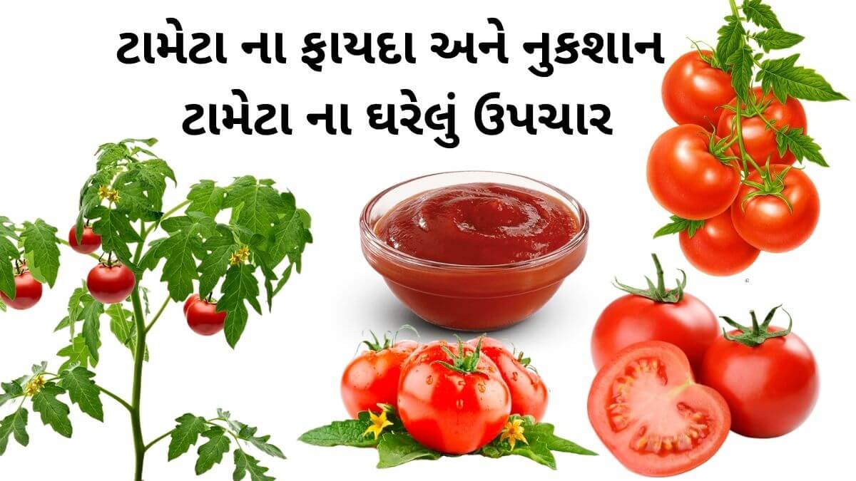 ટામેટા ના ફાયદા - ટામેટા વિશે માહિતી - ટામેટા ખાવાના ફાયદા - tomato benefits in Gujarati - tameta na fayda