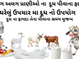 દૂધ પીવાના ફાયદા -દૂધ ના ફાયદા - Dudh na fayda - milk benefits in Gujarati - ગાય ના દૂધ ના ફાયદા - રાત્રે દૂધ પીવાના ફાયદા