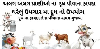 દૂધ પીવાના ફાયદા -દૂધ ના ફાયદા - Dudh na fayda - milk benefits in Gujarati - ગાય ના દૂધ ના ફાયદા - રાત્રે દૂધ પીવાના ફાયદા