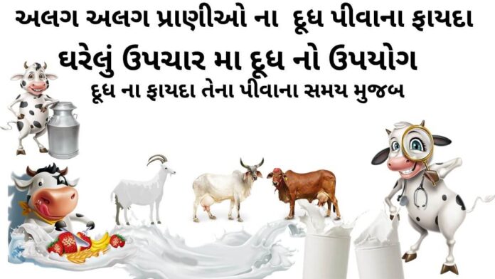 દૂધ પીવાના ફાયદા -દૂધ ના ફાયદા - Dudh na fayda - milk benefits in Gujarati - ગાય ના દૂધ ના ફાયદા - રાત્રે દૂધ પીવાના ફાયદા